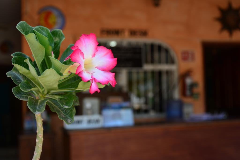 Hotel Posada Luna Sol ラパス エクステリア 写真